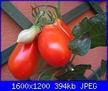 Orto in vaso..e' possibile!!-104-jpg