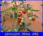 Orto in vaso..e' possibile!!-105-jpg