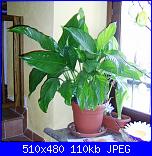 Ecco un pò di foto...-pic_0500-jpg