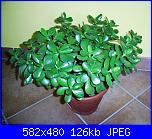 Ecco un pò di foto...-pic_0505-jpg