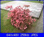 il giardino di ciana-immagini-003-jpg