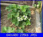 il giardino di ciana-immagini-021-jpg