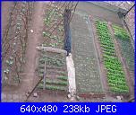 il giardino di ciana-immagini-022-jpg