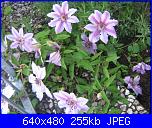 Il giardinetto di Kalè-img_0324-jpg