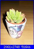 Piante grasse e dintorni-100_7015-jpg