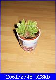 Piante grasse e dintorni-100_7017-jpg