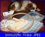 abilmente Vicenza 2010 - primavera-acquisti-jpg