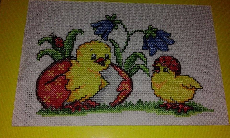 13140516 808278369303520 1982300876 n