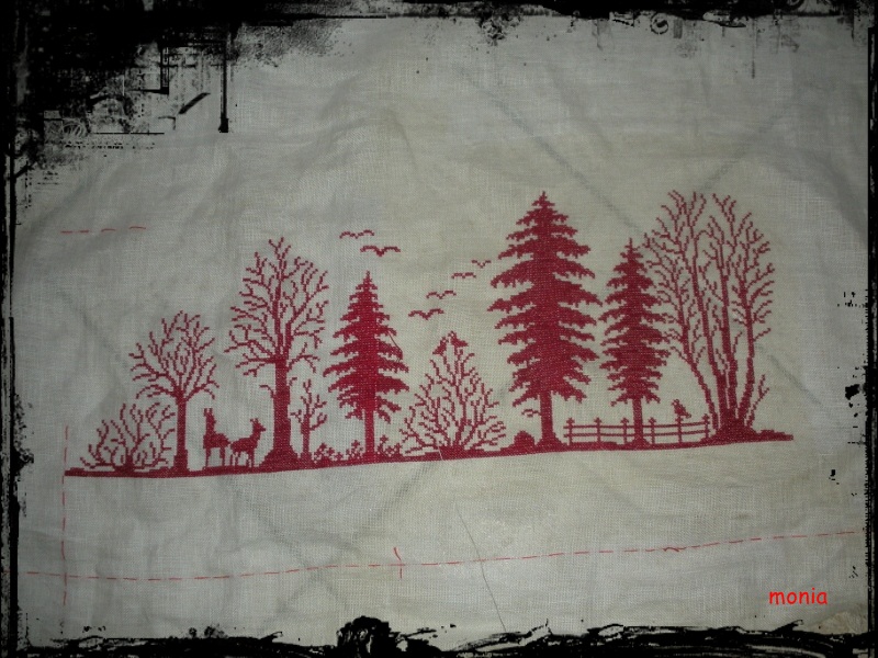 ecco dove sono con il bosco