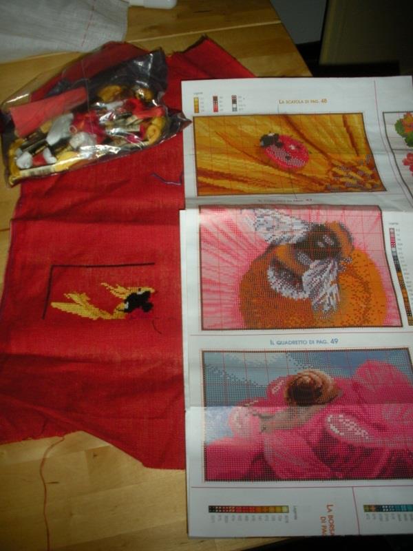 TRIS DI INSETTI SUASANNA PUNTO CROCE