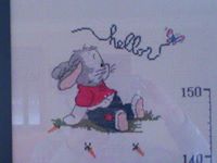 1457625 530439340380085 1587271147 n