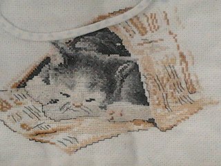 1459048 530439690380050 274681037 n