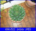 members/orange-juice/albums/le-mie-piante/76345-agave-victoria-regina.JPG