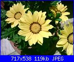 members/orange-juice/albums/le-mie-piante/76439-gazania.jpg