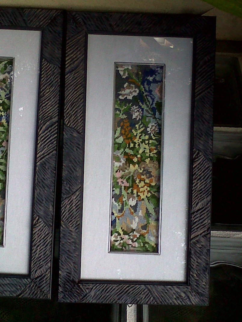 IMG00379 20110114 1101