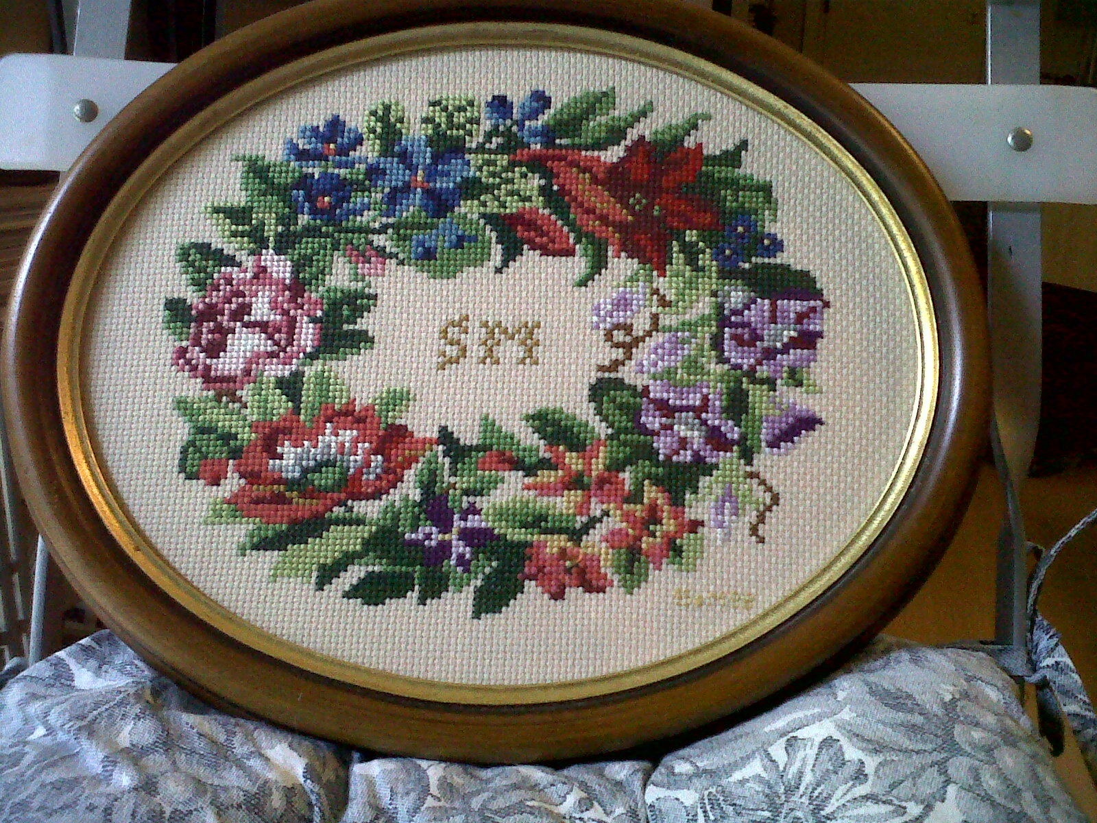 IMG00384 20110114 1106