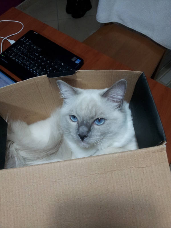 20121101 192654 (600x800)