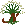 Carica di Novizio