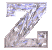 Immagine lettera Z 