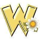 Immagine lettera W 