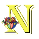 Lettera N