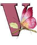 Immagine lettera V 