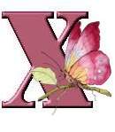 Immagine lettera X 