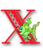 Immagine lettera X 