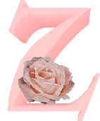Immagine lettera Z 
