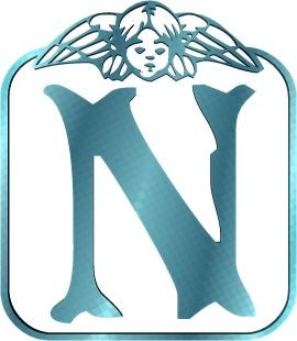 Immagine lettera N 