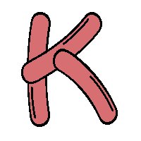 Immagine lettera K 