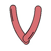 Immagine lettera V 