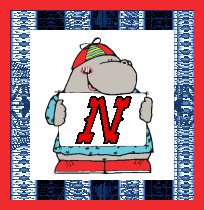 Immagine lettera N 