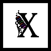 Immagine lettera X 