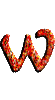 Lettera W