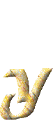 Immagine lettera Y 