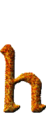 Immagine lettera H 