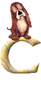 Immagine lettera C 