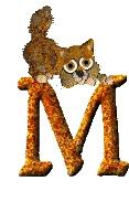 Immagine lettera M 