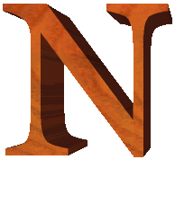 Immagine lettera N 