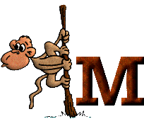Immagine lettera M 
