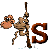 Immagine lettera S 