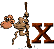 Immagine lettera X 