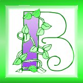 Immagine lettera B 