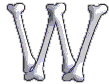 Immagine lettera W 