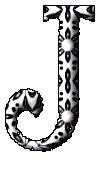 Immagine lettera J 