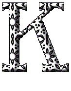 Immagine lettera K 
