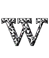Immagine lettera W 