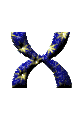 Lettera X
