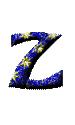 Immagine lettera Z 